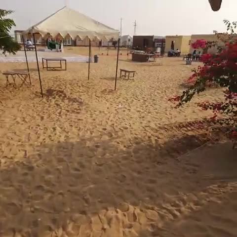 Bhati Desert Camp Sam - Traveller Photo