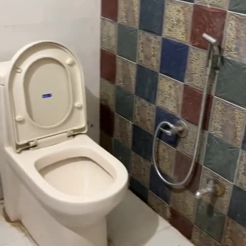 Hotel Meera Mahal - Traveller Photo