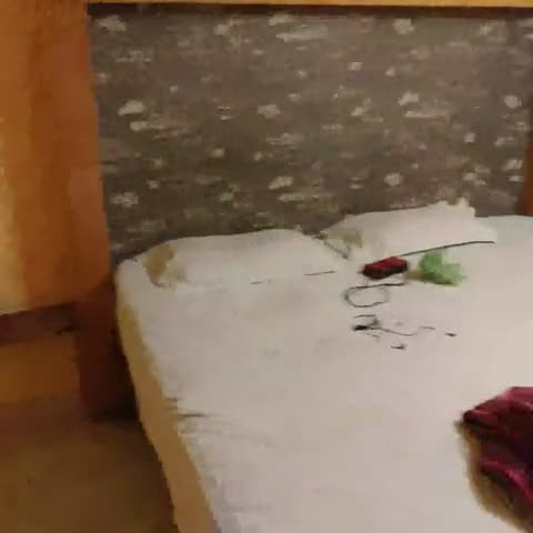 Shree Narayani  Resort  - Traveller Photo