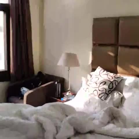 Days Hotel by Wyndham Jalandhar Jyoti Chowk - Traveller Photo
