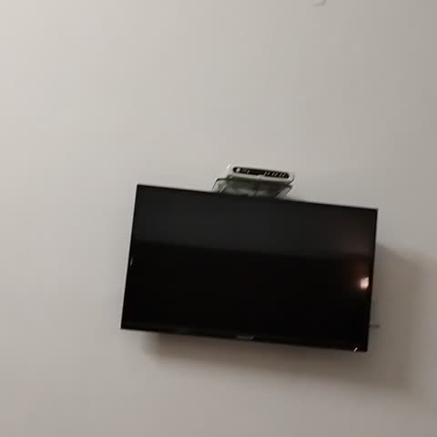 Hotel Dolphin - Traveller Photo