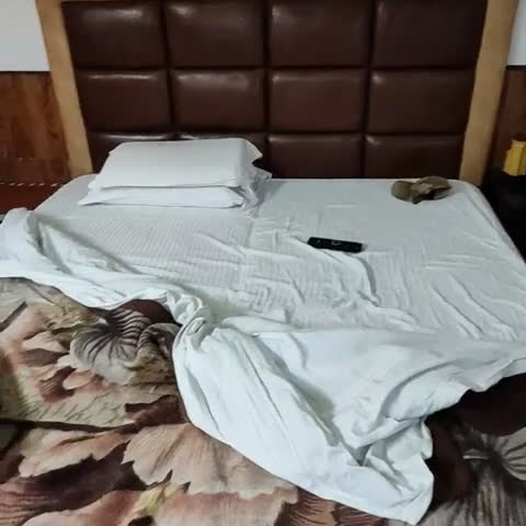 Hotel Jewel Jammu - Traveller Photo
