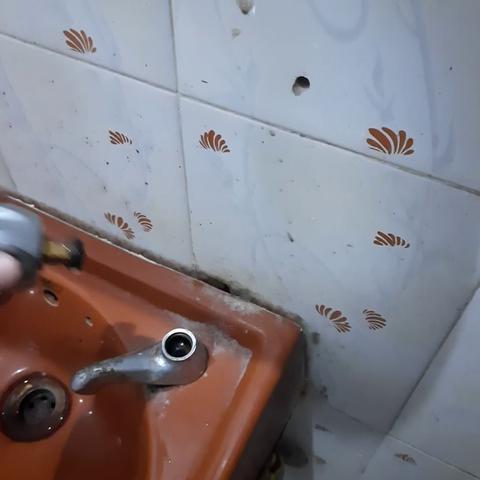 Hotel Shree Palace - Traveller Photo