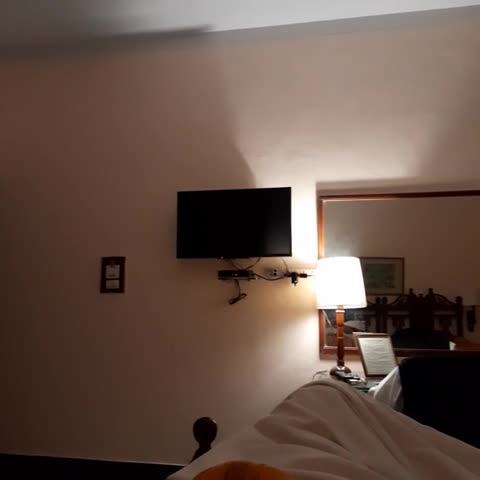 Hotel Karni Bhawan - Traveller Photo
