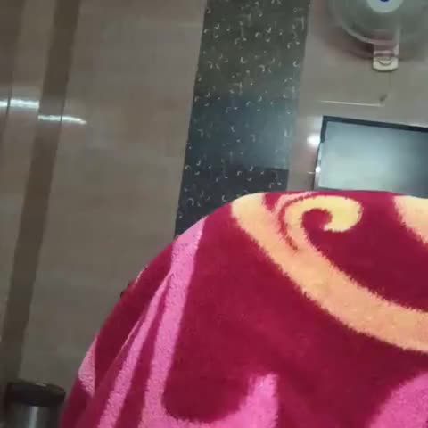 Hotel Ramdev palace - Traveller Photo