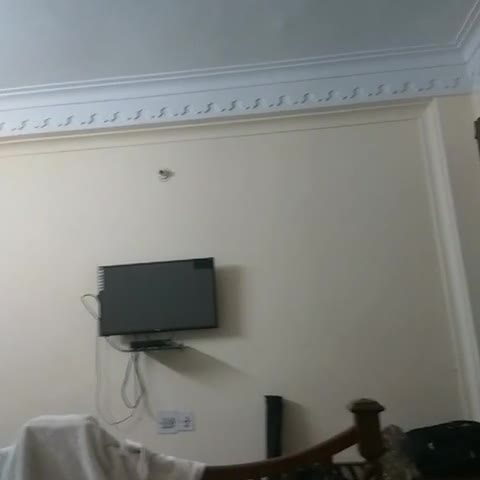 Hotel Royale Plazo - Traveller Photo