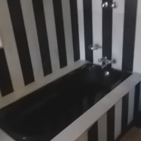 Hotel Inn Season - A Heritage Hotel in Jodhpur - Traveller Photo