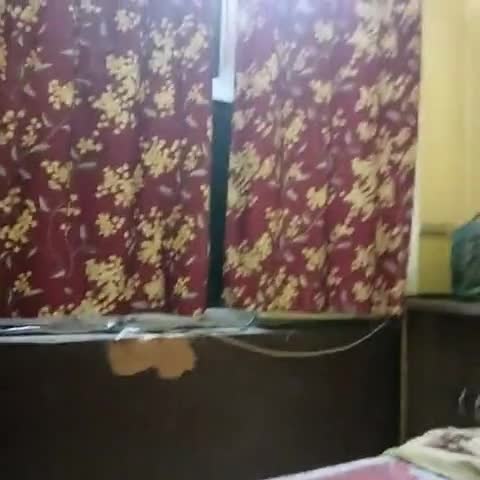 Jodhpur Guest House Lodge - Traveller Photo