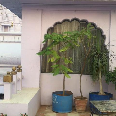 Nirvana Heritage Home - Traveller Photo