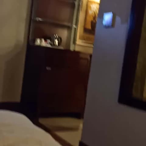 Park Plaza Jodhpur - Traveller Photo