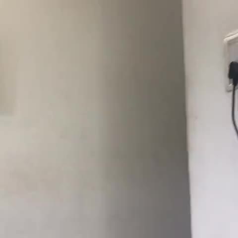 HOTEL BHAGWANI PALACE - Traveller Photo