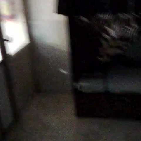 City Dormitory - Traveller Photo
