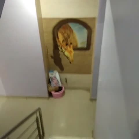 Hotel Maruti - Traveller Photo