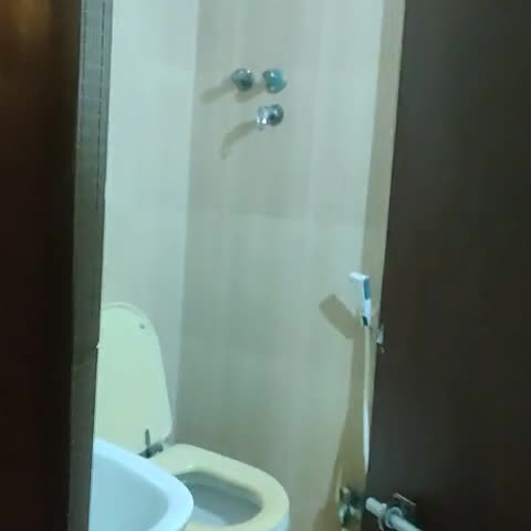 Sai Priya Inn - Traveller Photo