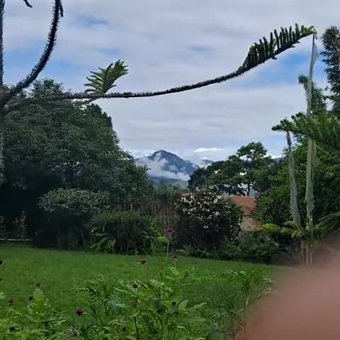 Sterling Park Kalimpong - Traveller Photo