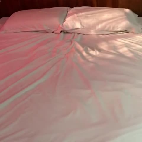 Hotel Sky Palace - Traveller Photo