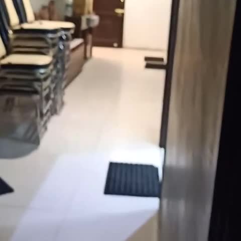HOTEL NIRMAL PALACE - Traveller Photo