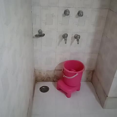 hotel Samridhi palace - Traveller Photo