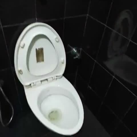 Hotel Nakshatra - Traveller Photo