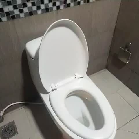 budget hotel - Traveller Photo