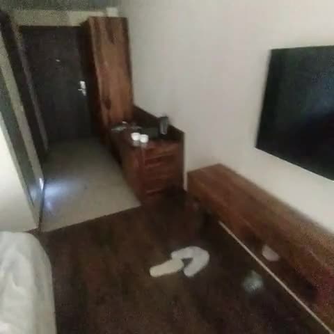 Lemon Tree Hotel, Kasauli - Traveller Photo