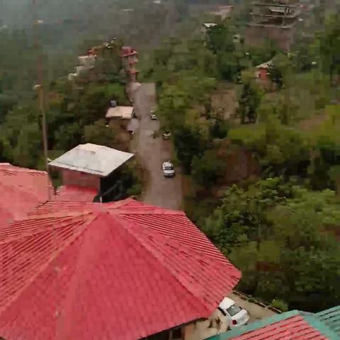 The Royal Ark, Kasauli - Traveller Photo