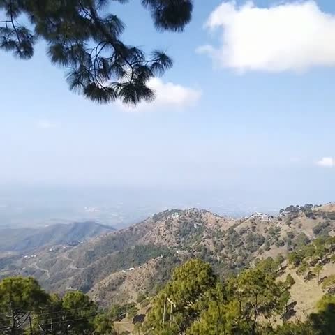 Birds View Resort - Traveller Photo