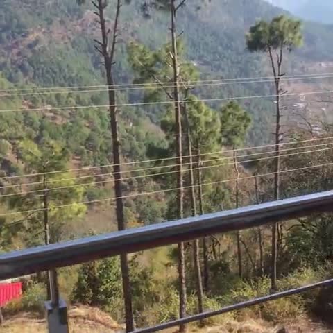 Kasauli Windsor Resorts - Traveller Photo
