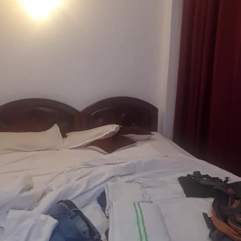 Hotel Lily - Traveller Photo
