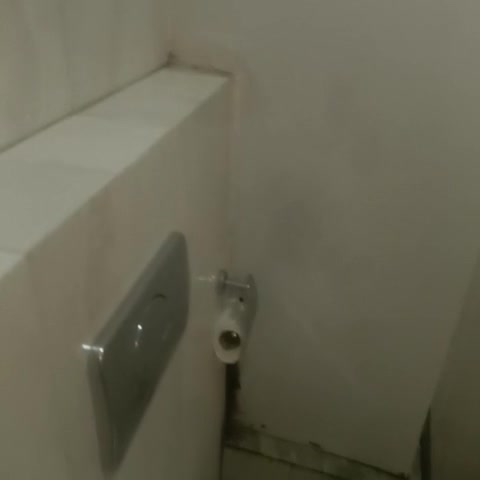 Hotel Osho Home Kathmandu - Traveller Photo