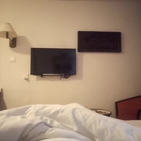 Hotel Shanker-Palatial Heritage Kathmandu - Traveller Photo