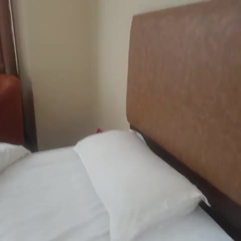 Regal Airport Hotel Kathmandu - Traveller Photo