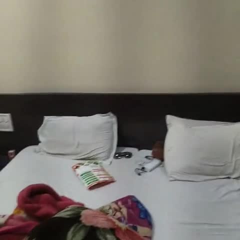 HOTEL BRIJWASI ROYAL - Traveller Photo