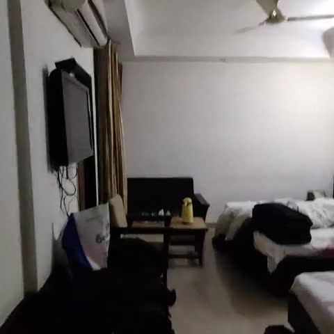Hotel Dolphin - Traveller Photo