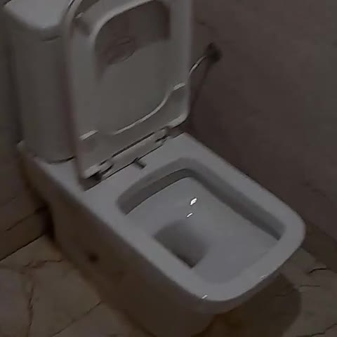 Hotel Shree Shaktia - Traveller Photo