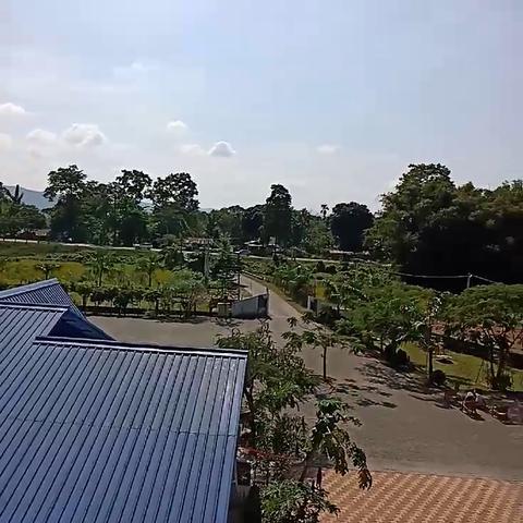 Tesco Resort, Kaziranga - Traveller Photo