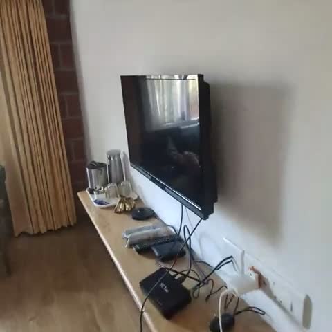 Altius Nest - Traveller Photo