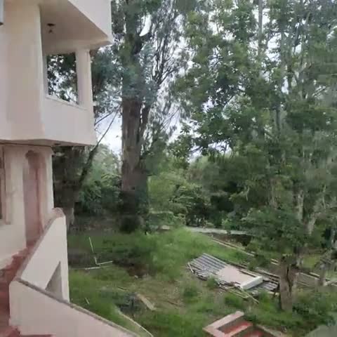 Mango Hill Kodai - Traveller Photo
