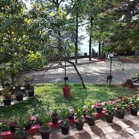 The Heritage Home and Dining - Traveller Photo