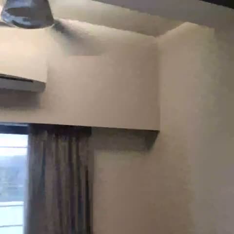 Skylark Business Hotel - Traveller Photo