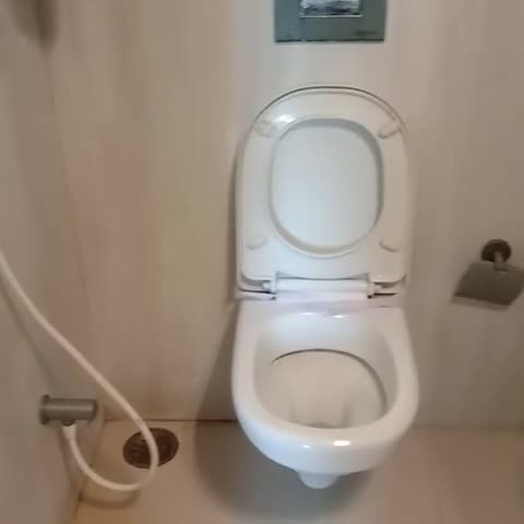 Hotel Sawood International - Traveller Photo
