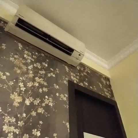 HOTEL VICTORIA INN - Traveller Photo