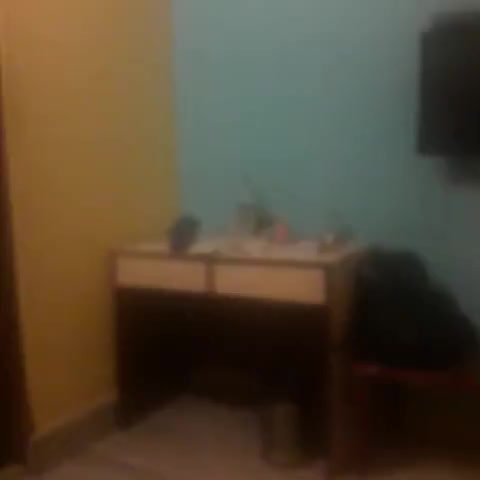 Super Hotel O Alipore Near Chetla Formerly Alipore Guest House - Traveller Photo