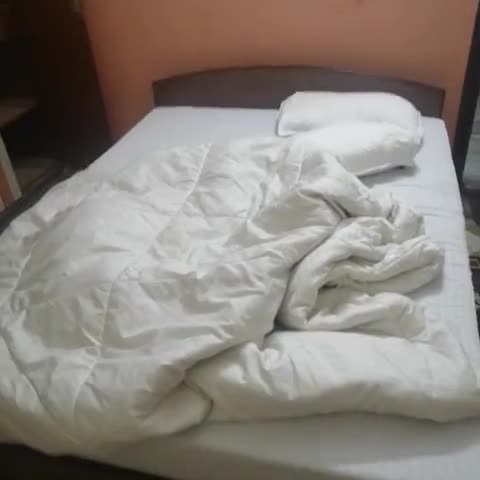 Super Hotel O Vicky Guest House - Traveller Photo