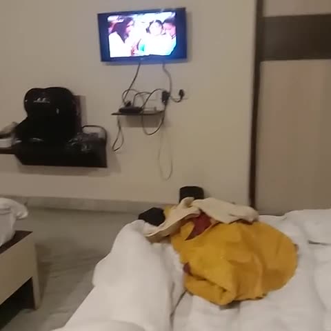 SAINI INTERNATIONAL - Traveller Photo