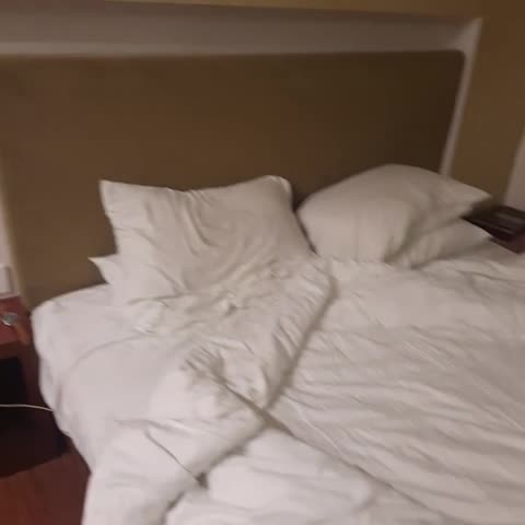 VISITEL - A BOUTIQUE HOTEL - Traveller Photo