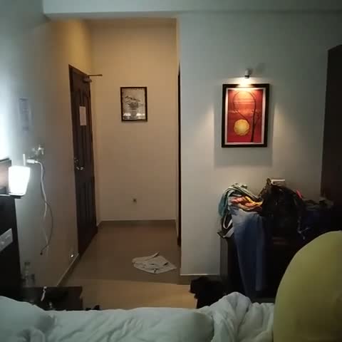 Hotel Padippurayil Kollam - Traveller Photo