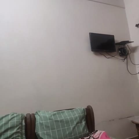Shwetha Lodge - Traveller Photo