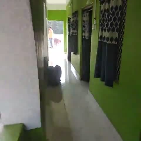 LABANYA GUEST HOUSE, 200mtrs from Konark Temple - Traveller Photo