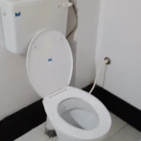 Hotel Kishan Kunj  - Traveller Photo
